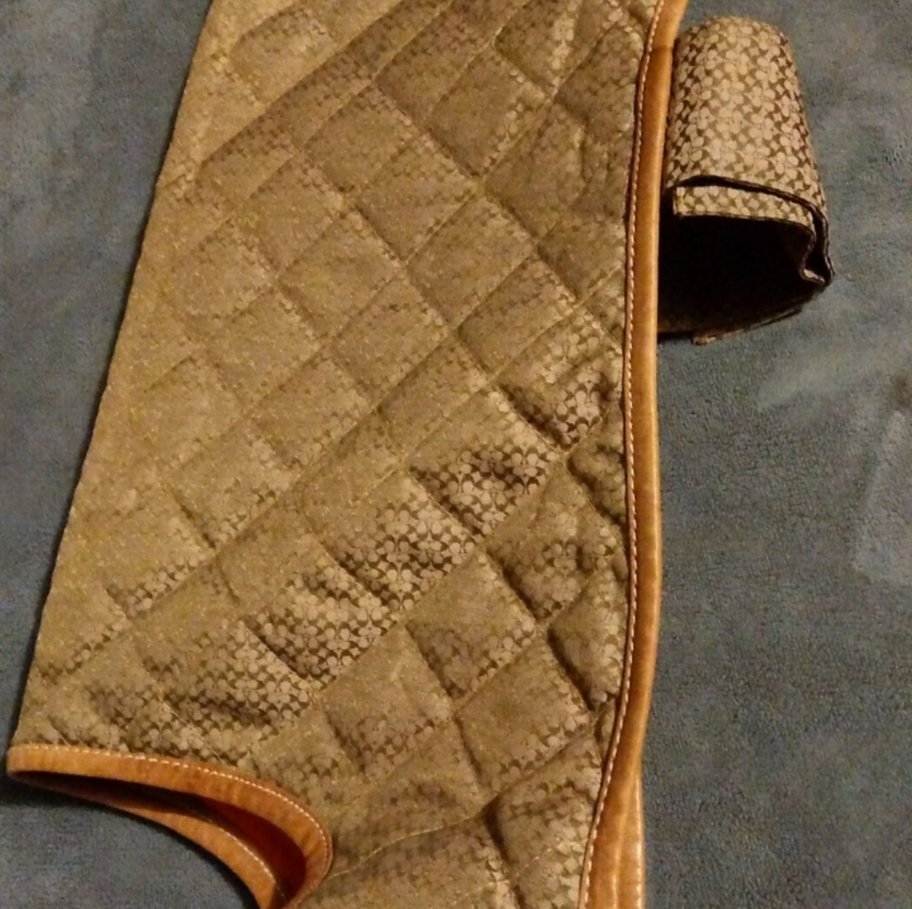 Coach dog coat only